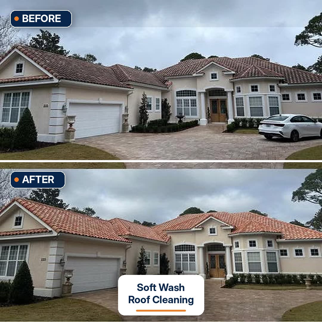 Roof cleaning before and after