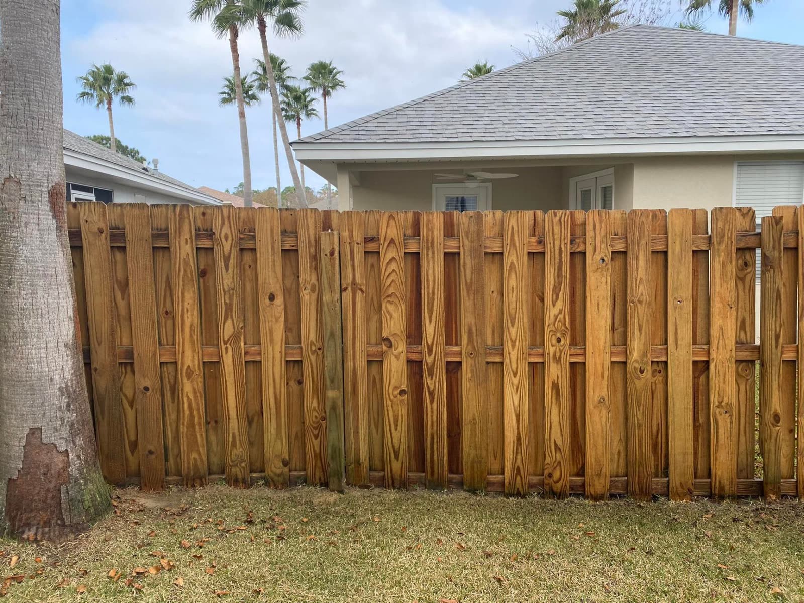Deck & Fence Restoration after